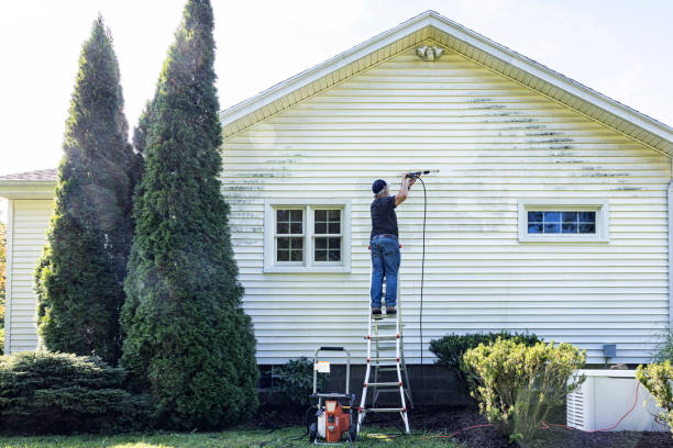 Best Brick and Stone Cleaning in Park City, TN